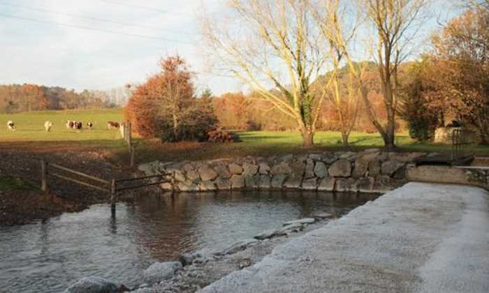 Aménagement rivières, zones humides et plans d’eau en Mayenne - Thierry Lemée TP